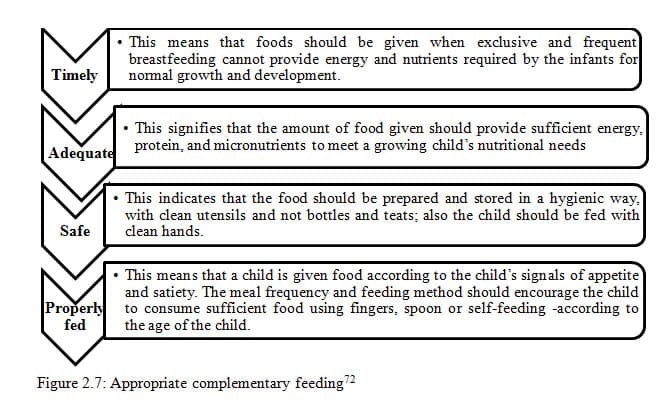 Infant and childhood nutrition: Growth, development, and feeding ...