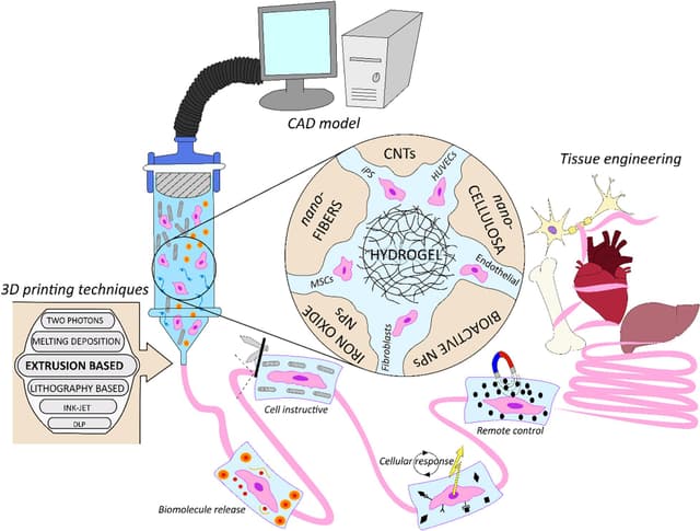 Introduction To Biomedical Engineering Design Biomedical engineering | Intro to Engineering Class Notes | Fiveable