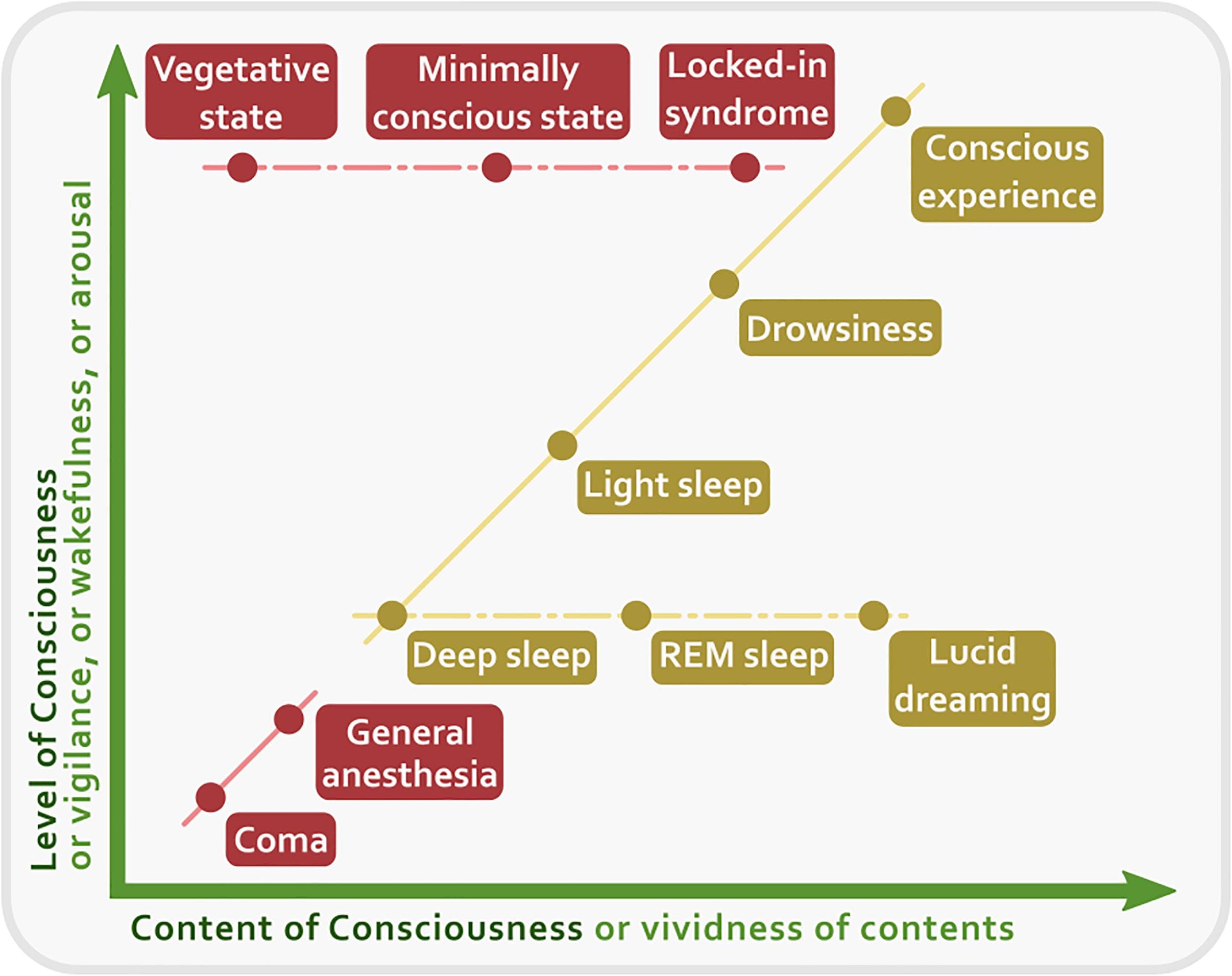 Focus Inner State Behavior Focus of Attention (Internal vs. External) | Motor... | Fiveable