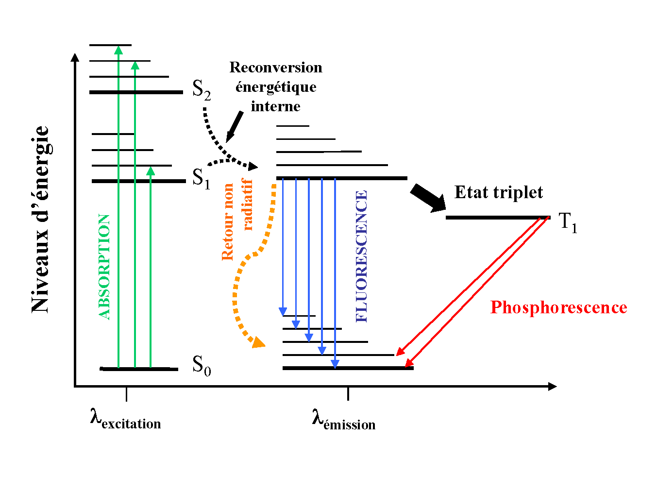 Jablonski Diagram And State Transitions Photochemistry Fiveable jablonski-diagram-and-state-transitions-photochemistry-fiveable