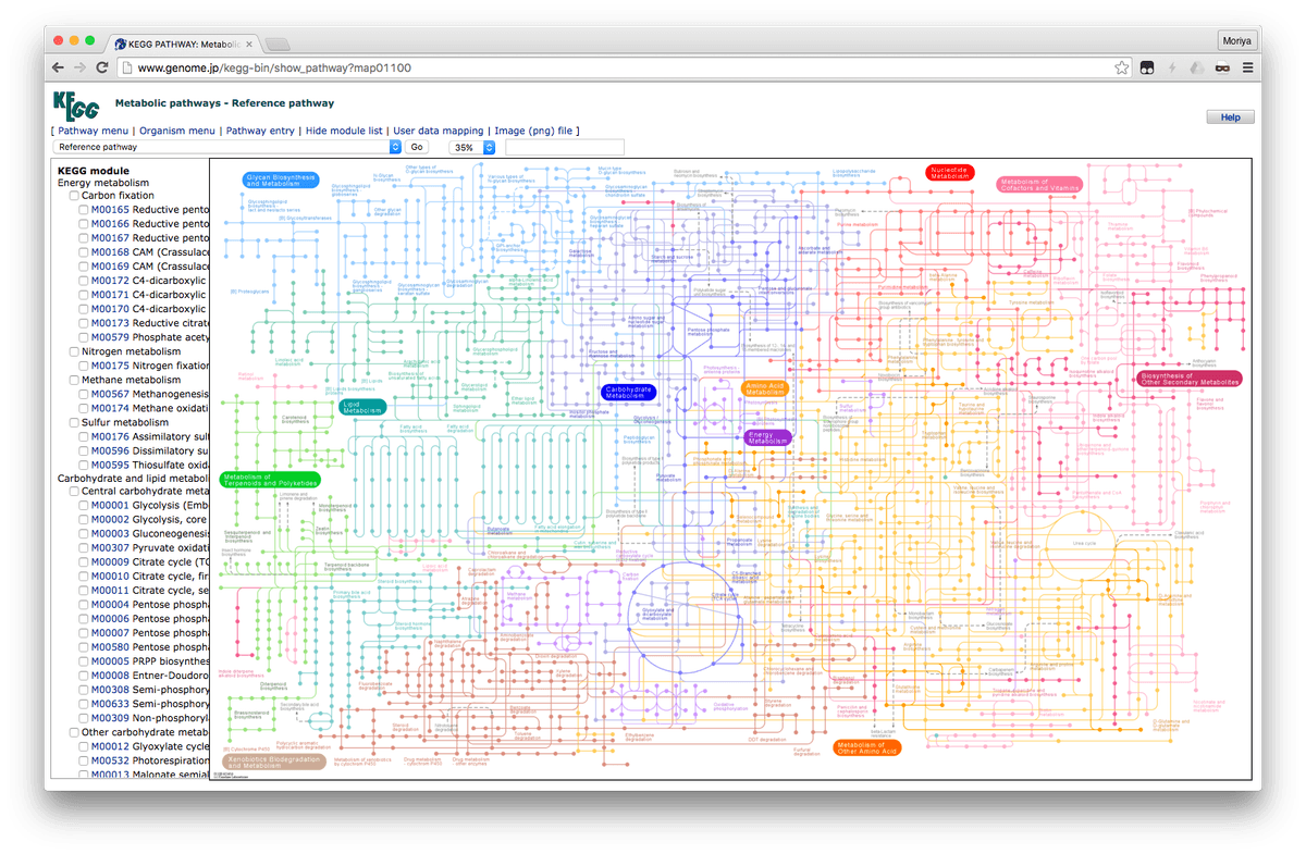 Metabolic pathway analysis | Bioinformatics Class Notes |... | Fiveable
