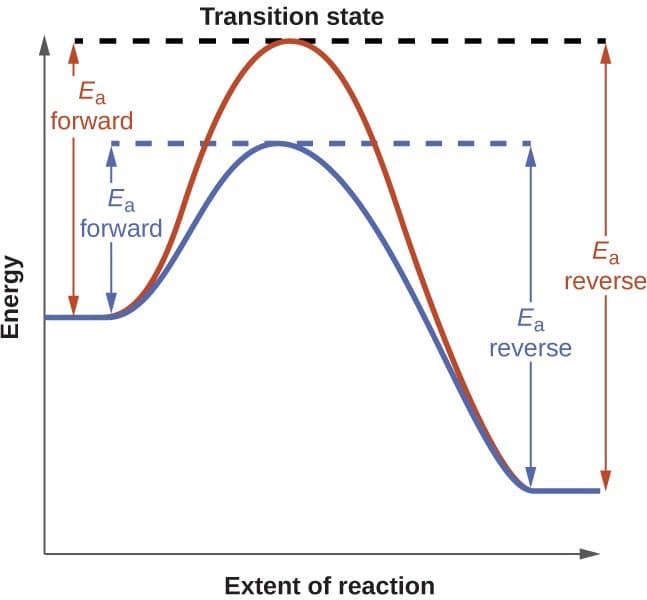 shifts and equilibrium formative - jeffrey see... Equilibrium Calculations | Intro to Chemistry Class Notes... | Fiveable