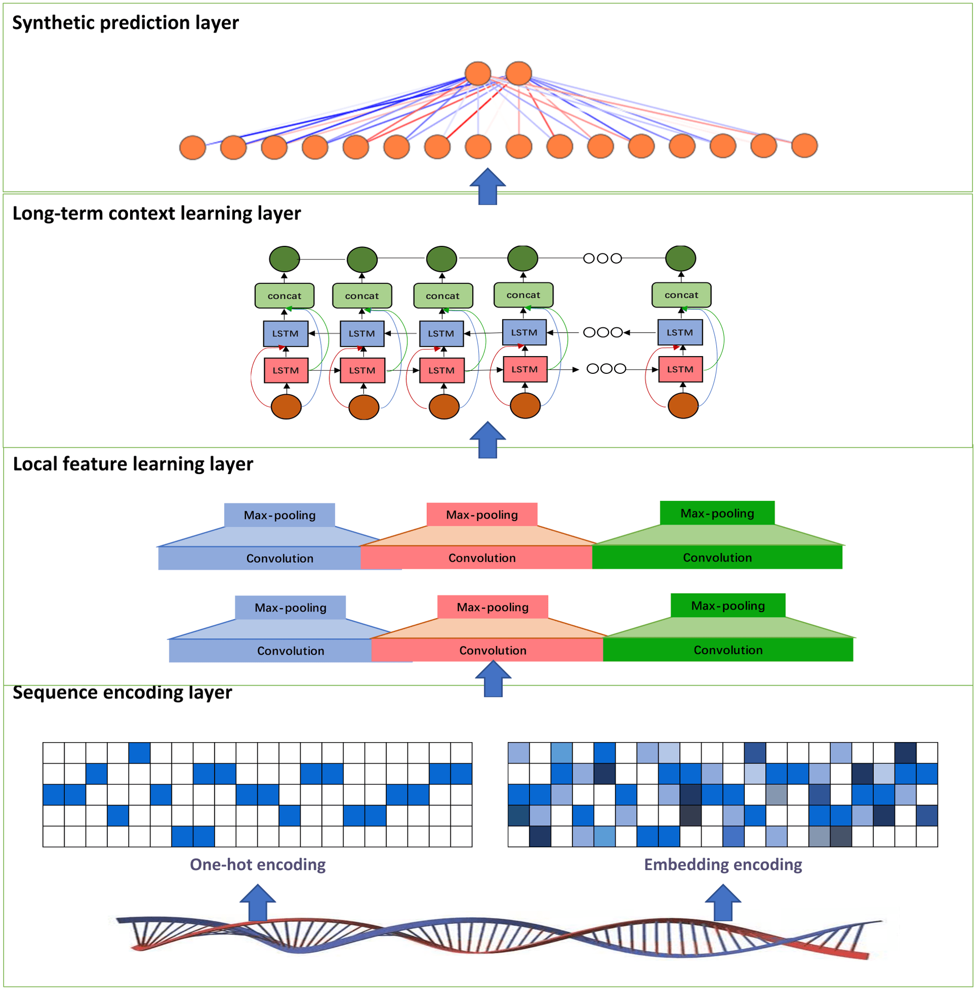 Dna Local Alignment Local alignment | Bioinformatics Class Notes | Fiveable