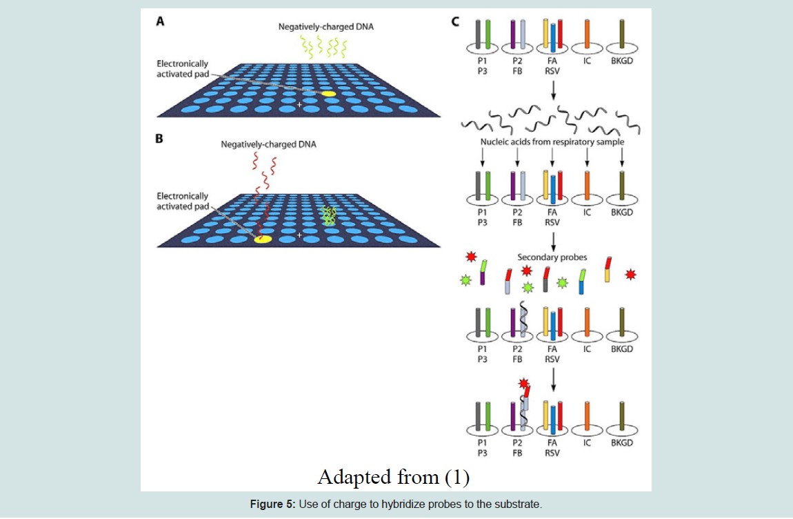 Microarrays and next-generation sequencing | Molecular... | Fiveable