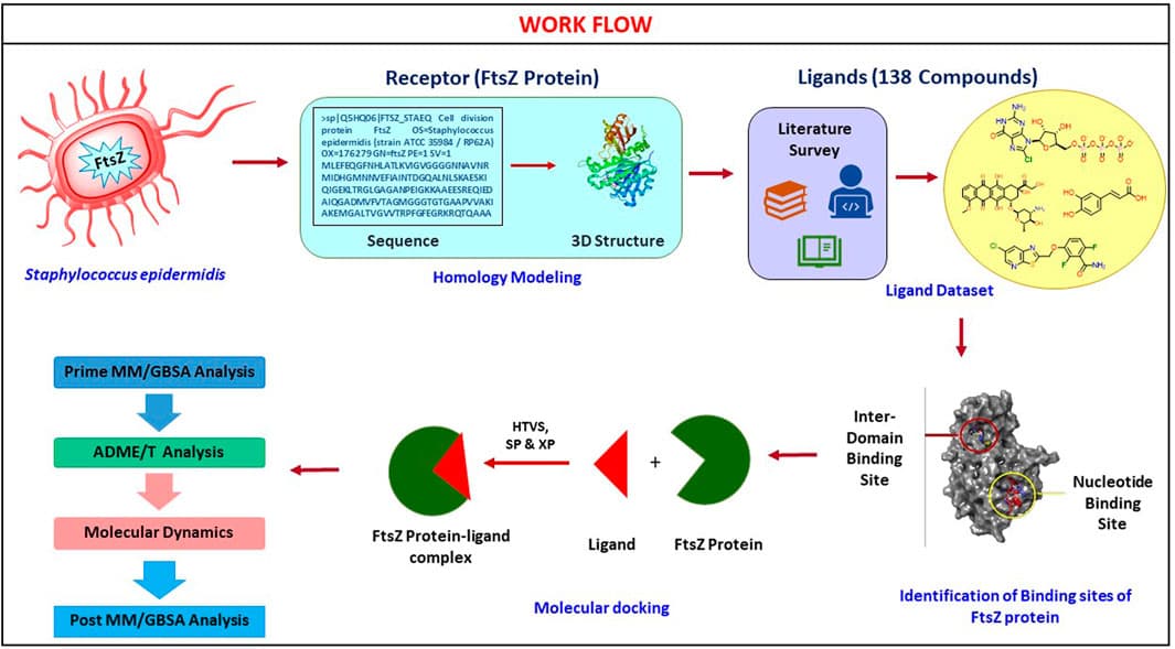 Docking and virtual screening in drug discovery |... | Fiveable