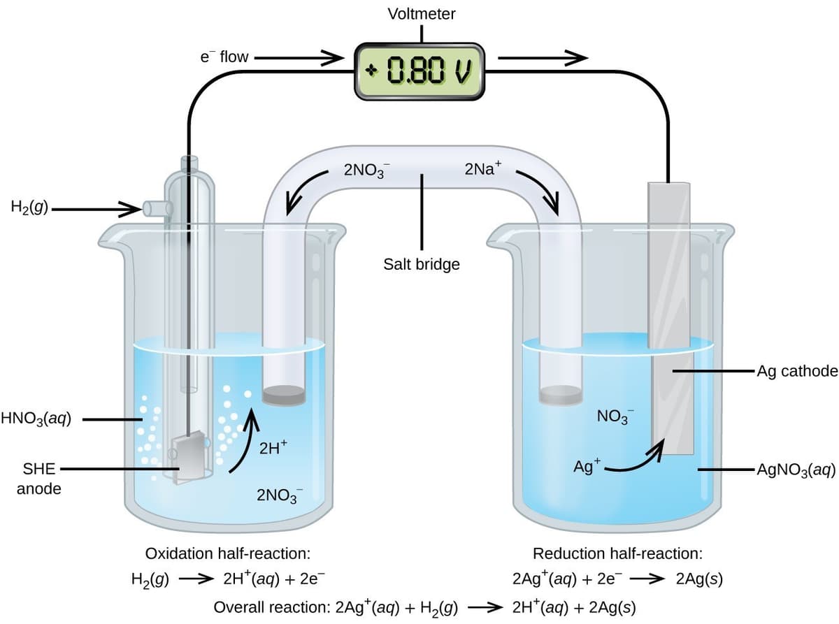 Electrochemical Cells and Standard Reduction Potentials | Inorganic ...