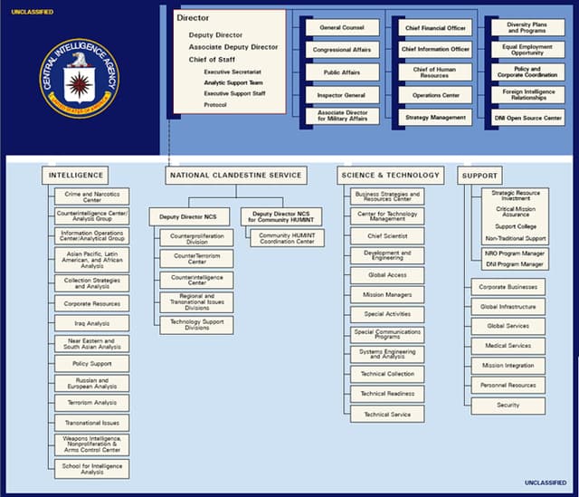 Admin Ranks Structure Organizational Structure and Chain of Command | Criminal... | Fiveable