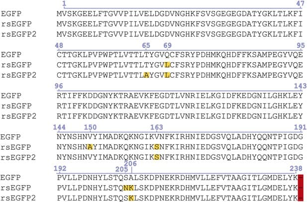 Primary Sequence Databases Protein sequence databases | Bioinformatics Class Notes |... | Fiveable