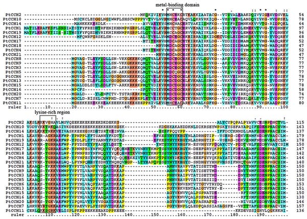 Primary Sequence Databases Protein sequence databases | Bioinformatics Class Notes |... | Fiveable