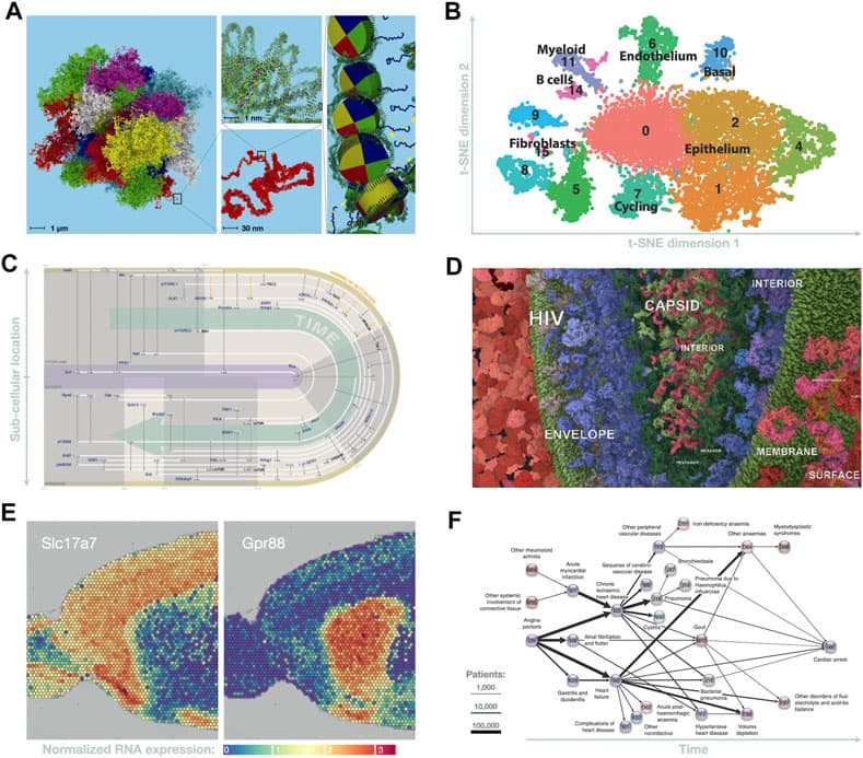 Structural Database Bio Info Protein structure databases | Bioinformatics Class Notes |... | Fiveable