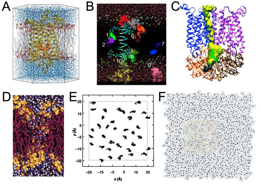 Simulationms Molecular dynamics simulations | Bioinformatics Class Notes | Fiveable