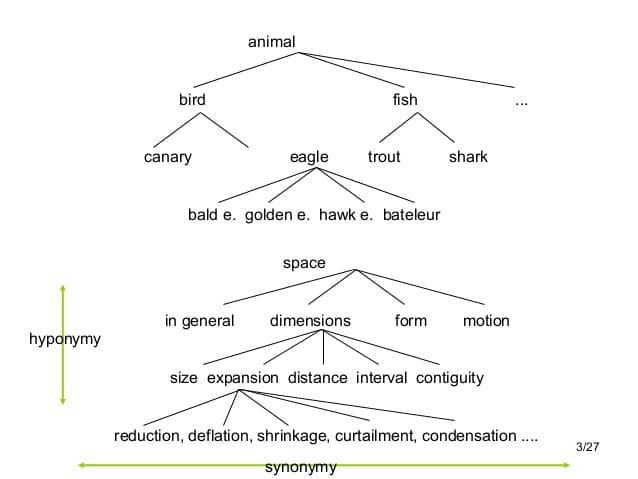 Lexical semantics and word meaning | Intro to Linguistics... | Fiveable