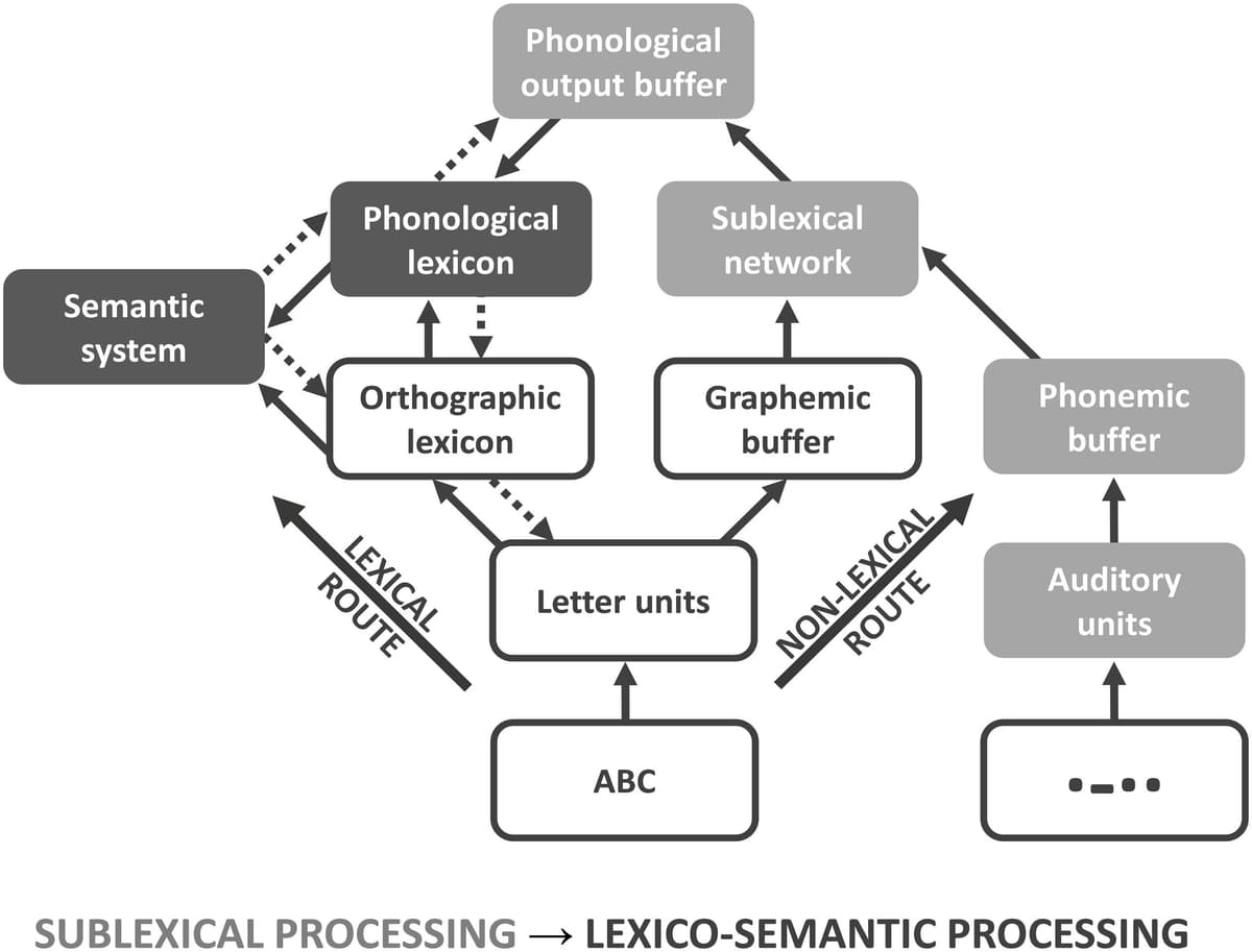 Lexical Threads Lexical semantics and word meaning | Intro to Linguistics Class Notes ...