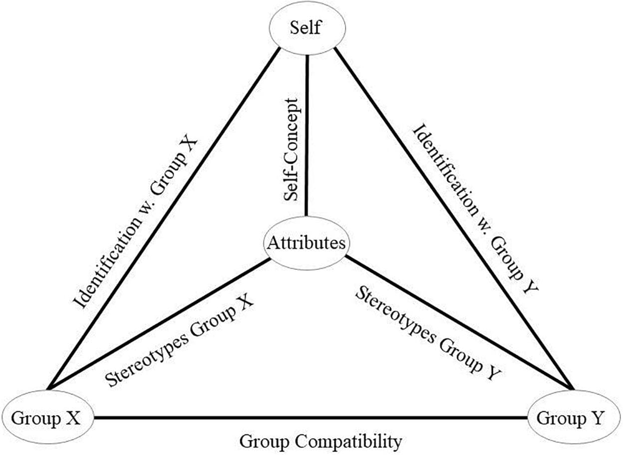 Self Classify Social Identity Theory | Social Psychology Class Notes |... | Fiveable