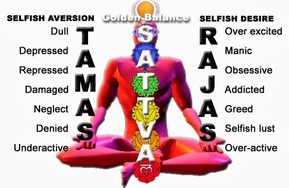Three Gunas Raja's The three gunas: sattva, rajas, and tamas | Intro to Hinduism Class ...