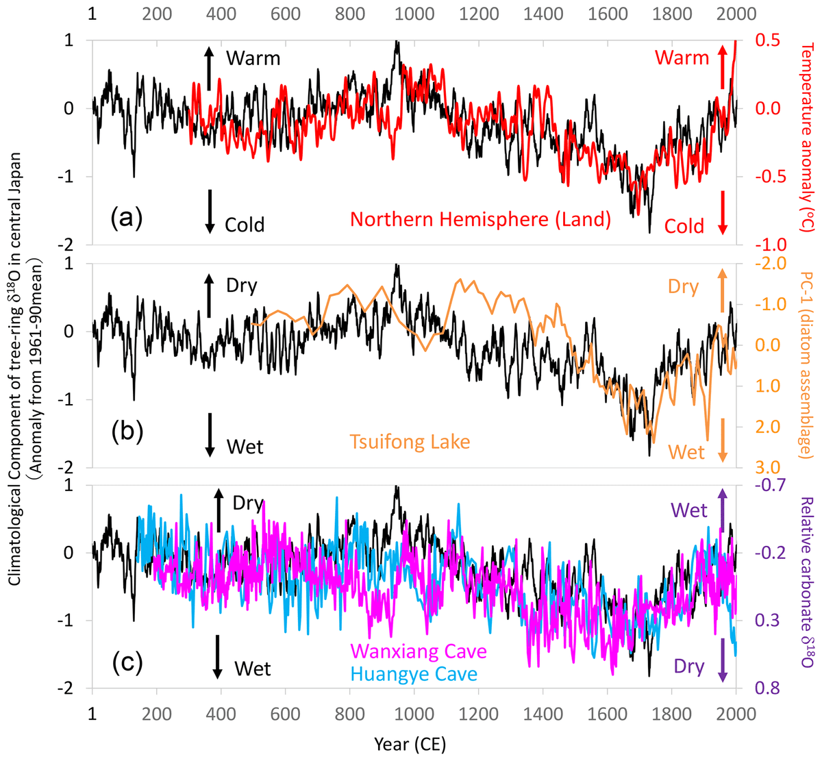 Tree Rings And Climate Climate archives and proxies (tree rings, ice cores,... | Fiveable
