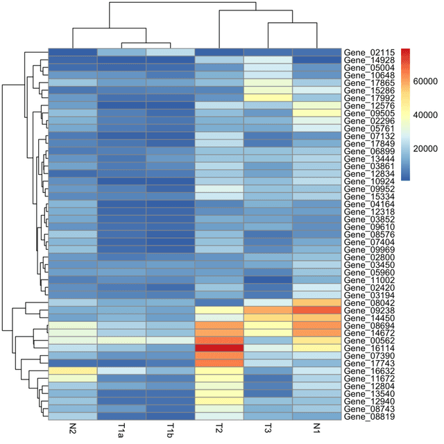 Heatmaps In Statistics Exploratory Data Analysis | Machine Learning Engineering... | Fiveable