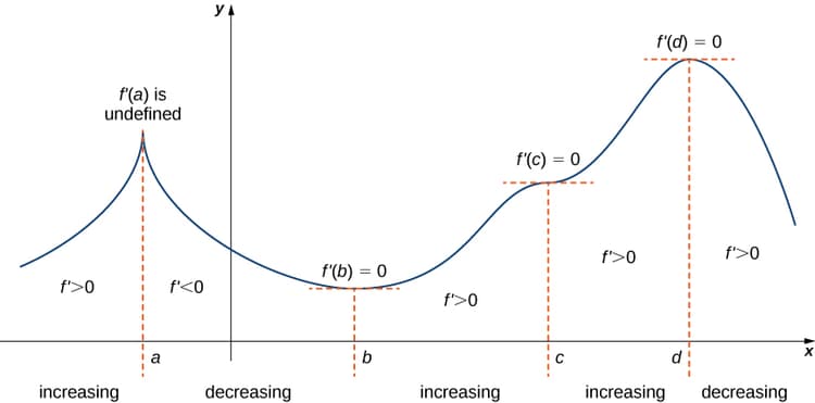 Derivatives and the Shape of a Graph | Calculus I Class Notes | Fiveable